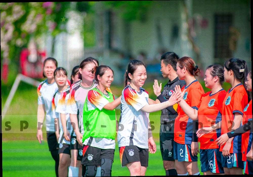 三张并列的专题封面示意，分别以旧版对照、收藏体系、显示设置为主题